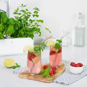 Organic Moroccan Mint Lingot®