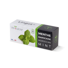 Load image into Gallery viewer, Organic Moroccan Mint Lingot®
