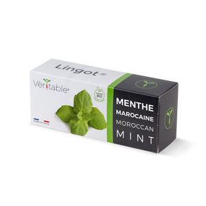 Organic Moroccan Mint Lingot®