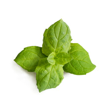 Load image into Gallery viewer, Organic Moroccan Mint Lingot®

