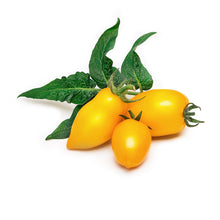 Load image into Gallery viewer, Yellow Mini-Tomato Lingot®
