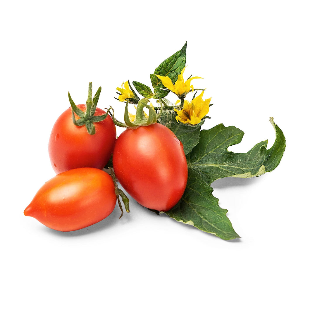 Red Cherry Tomato Lingot®