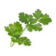 Load image into Gallery viewer, Flat Parsley Lingot®
