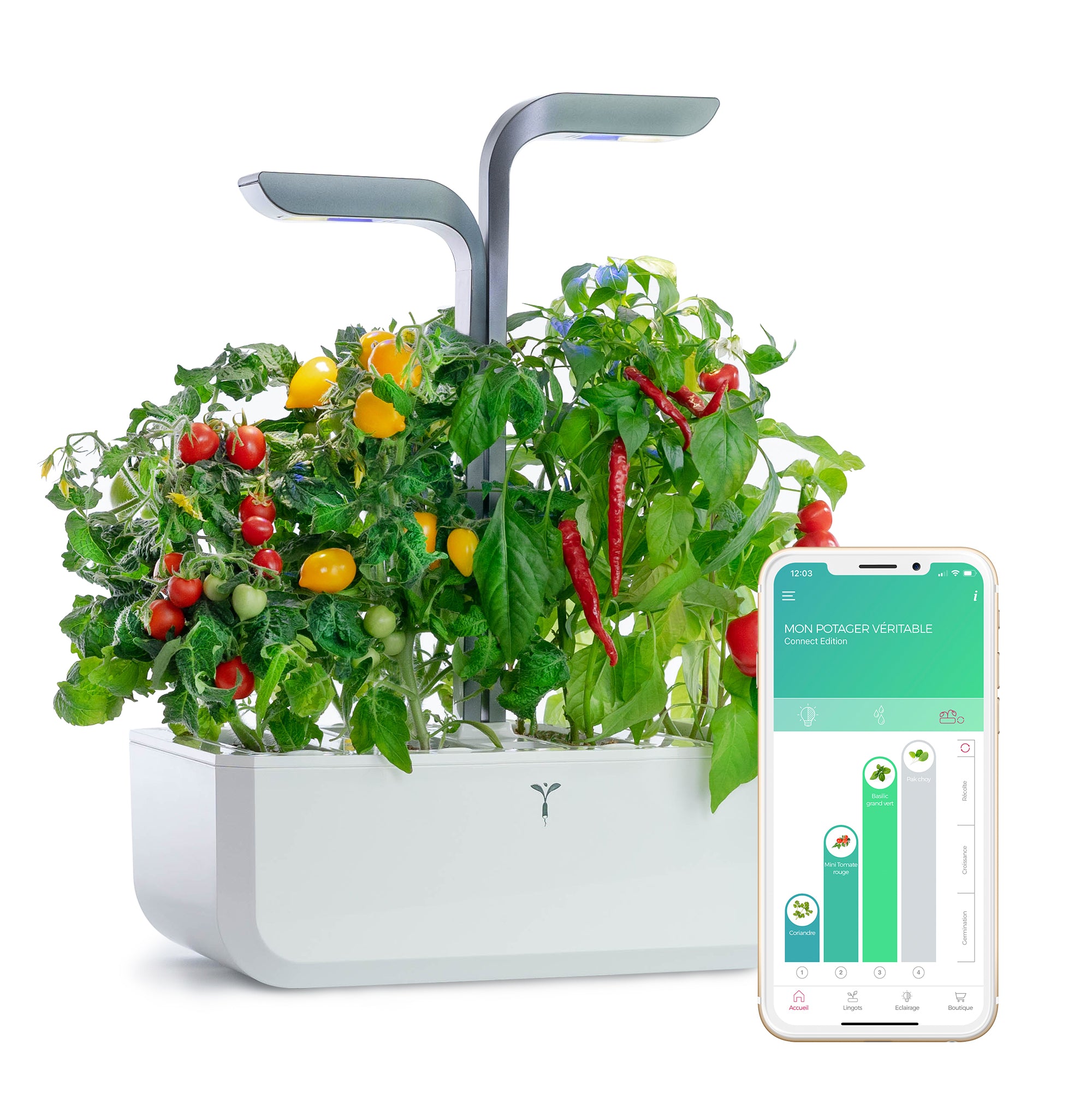 Veritable Smart Indoor Garden & Herb Grower, Growhouse & Growlight