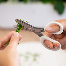Load image into Gallery viewer, Véritable® 3 Blade Small Scissors with Comb
