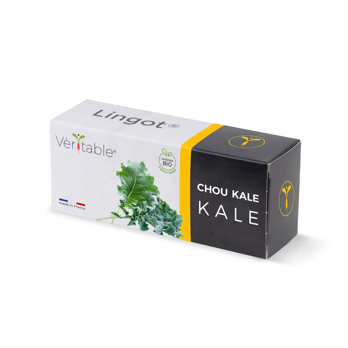 Kale Lingot® – Véritable SAS