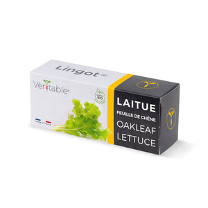 Oakleaf Lettuce Lingot®
