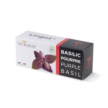 Load image into Gallery viewer, Purple Basil Lingot®
