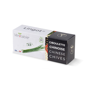 Chinese Chives Lingot®