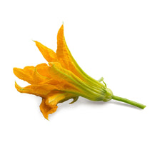 Load image into Gallery viewer, Zucchini Flowers Lingot®
